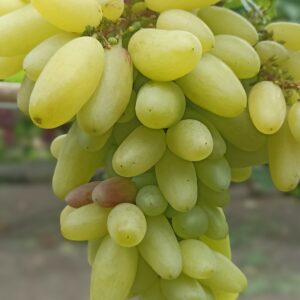 Мальчик с Пальчик